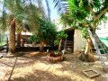 garden-land-for-rent-with-animal-bird-cages-in-jeblat-hebshi-bd-550-inclusive-small-1