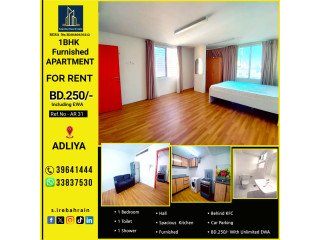 Furnished 1 BHK Apartment for Rent in Adilya. BD.250/- With Unlimited EWA