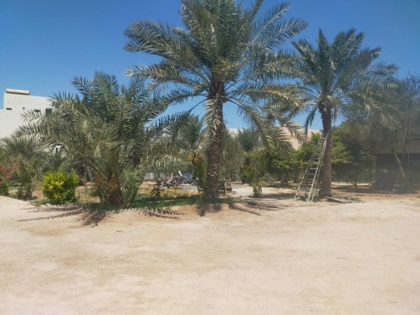 garden-land-for-leasing-in-jabalat-hibshi-near-sehla-bd0500-per-m2-with-ewa-big-1