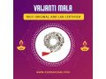 rudraksha-and-gemstones-transformed-small-0