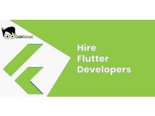 Hire Dedicated Flutter App Developers In Chandigarh