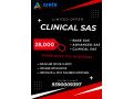clinical-sas-training-with-placements-small-0