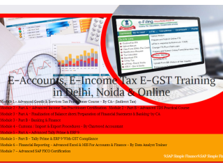 Accounting Course in Delhi, NCR, 110058, SLA Accounting Institute, Taxation and Tally Prime Institute in Delhi, Noida,