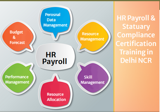 free-hr-course-in-delhi-110051-with-free-sap-hcm-hr-by-sla-consultants-institute-in-delhi-ncr-100-placement-learn-new-skill-of-24-big-0