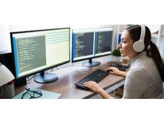 SQL software developer