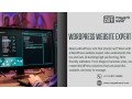 why-you-need-a-wordpress-website-expert-and-a-professional-designer-small-0