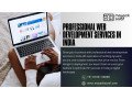 why-you-need-a-wordpress-website-expert-and-a-professional-designer-small-2