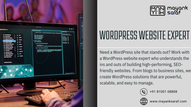why-you-need-a-wordpress-website-expert-and-a-professional-designer-big-0