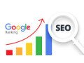 leading-seo-marketing-company-in-noida-drive-success-online-small-0