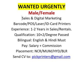 WANTED URGENTLY MALE/FEMALE