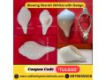 how-do-you-place-a-conch-shell-in-a-pooja-room-small-0