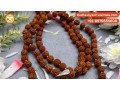 does-wearing-a-rudraksha-mala-have-any-benefits-small-0