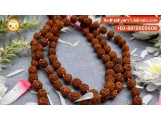 Does wearing a rudraksha mala have any benefits?