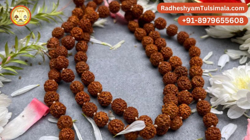 does-wearing-a-rudraksha-mala-have-any-benefits-big-0
