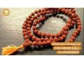 where-can-i-purchase-a-genuine-original-5-mukhi-rudraksha-mala-108-bead1-meru-small-0