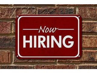 Now Hiring: Medical Billing Executive Payment Posting (Non Voice Process)