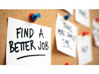 Quality Assurance Engineer Vacancy Immediate Joiners Preferred