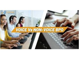 Customer Support Executive Tamil Voice Process (BPO)
