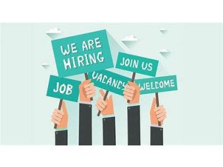 Kickstart Your Career Join as a Medical Billing Expert!