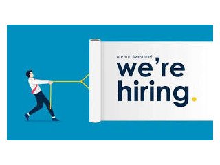 Insight-Driven Decision Maker Data Analyst Role Open Now!