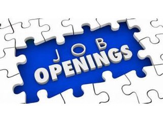 Urgent Requirement: React JS Developer