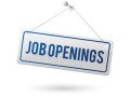 join-our-web-development-team-react-js-developer-small-0