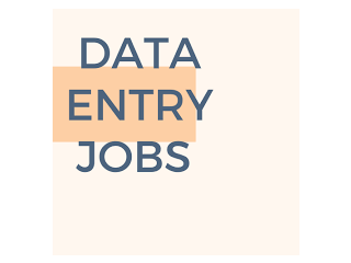 Earn minimum 30k in Data US Medical Form Filling project 7708244092