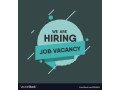 code-create-innovate-python-developer-role-available-small-0