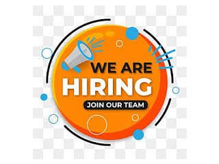 Manage Finances, Shape Growth Finance Executive Role