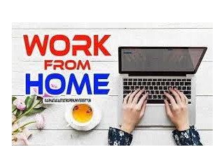 Work from Home: Data Entry Opportunity