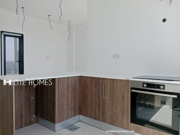 brand-new-two-bedroom-apartment-for-rent-in-sabha-al-salem-big-2